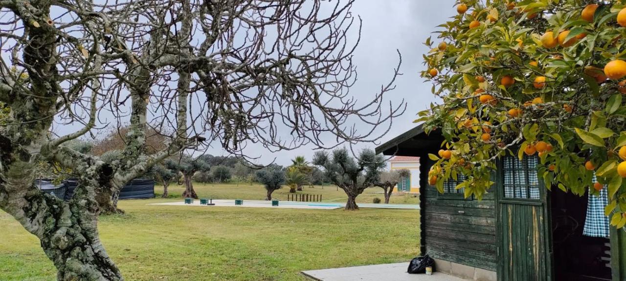 Holiday home Monte Hortas Velhas *