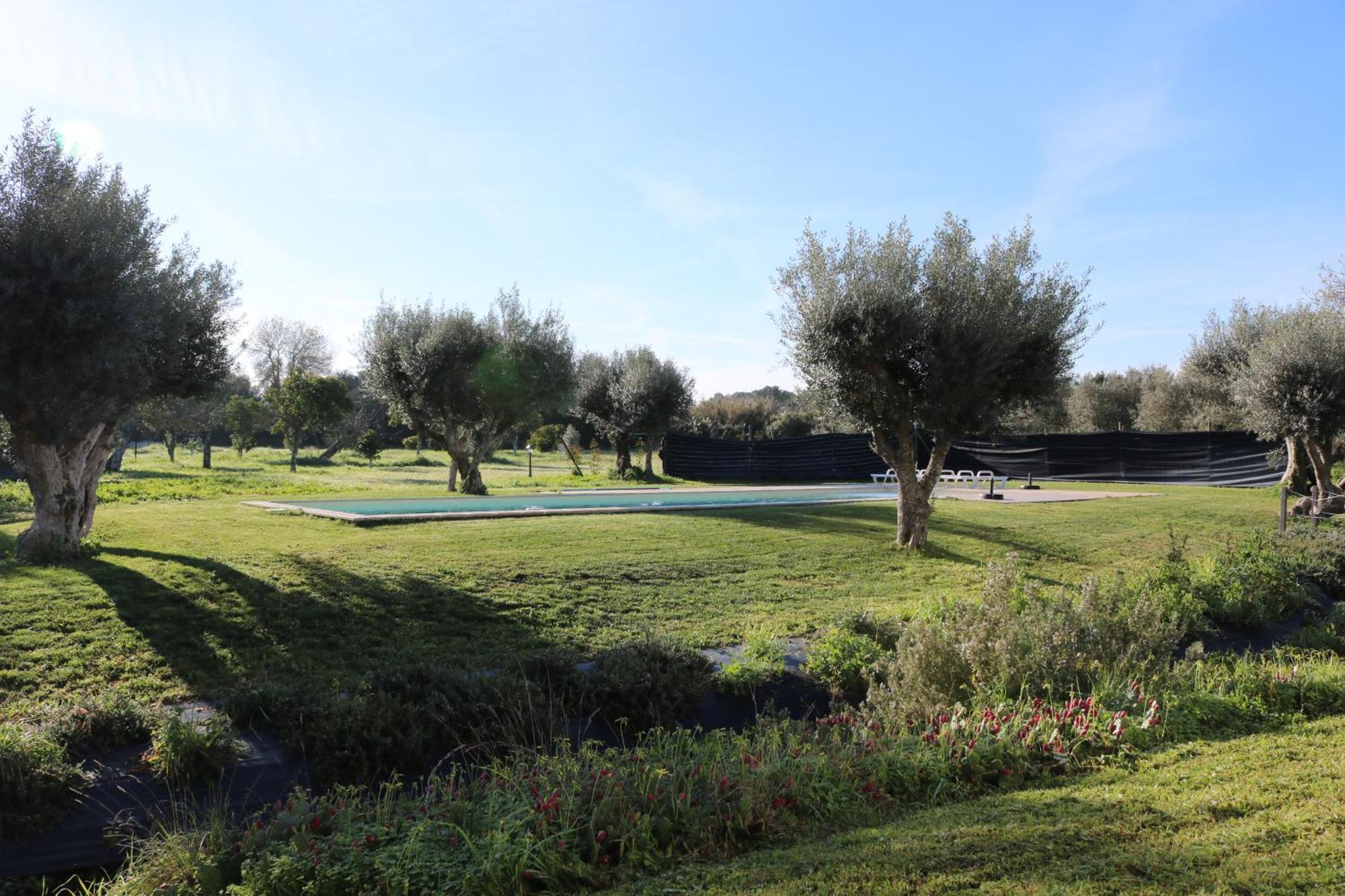 Monte Hortas Velhas Holiday home Viana do Alentejo