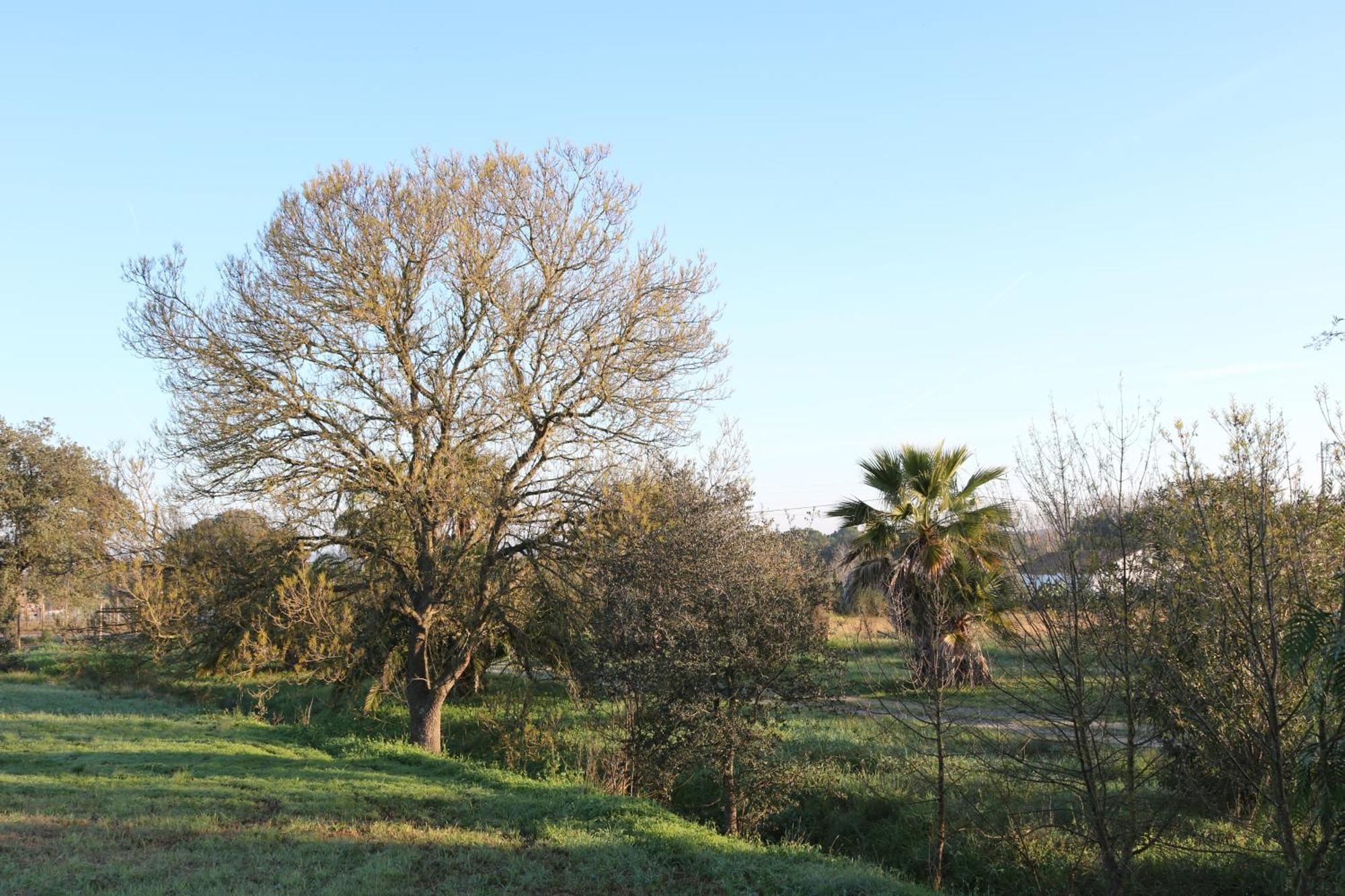 Monte Hortas Velhas * Viana do Alentejo