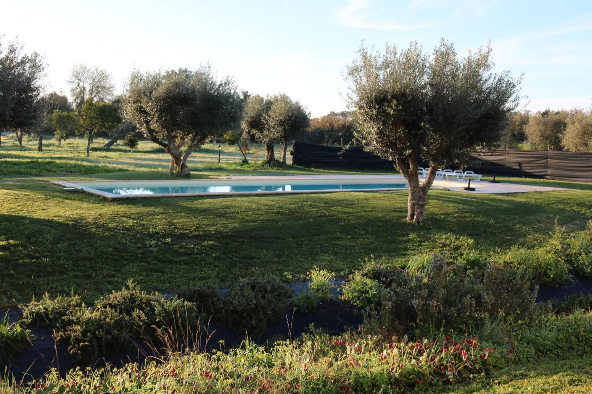 Holiday home Monte Hortas Velhas